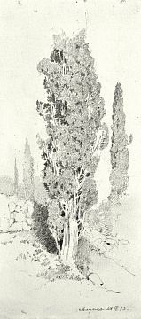 "Cypress trees (Alupka)", 1893