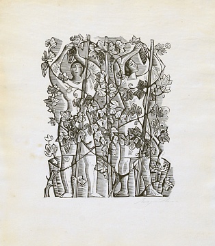 "Grape Harvest", 1960s