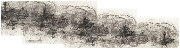 “Gardens and Towers”, 2009